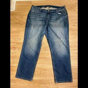 Lane Bryant straight leg jeans.